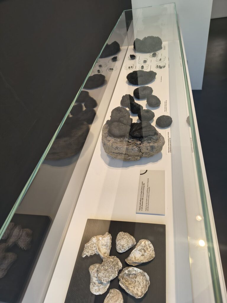National Archaeological Museum of Cividate Camuno - exhibition detail